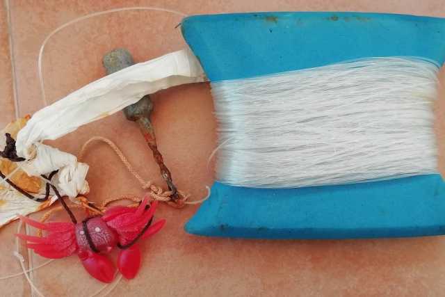 "Polparola", canna di bamb�, zampa di gallina, vermara: ecco i mille modi per pescare a Bari